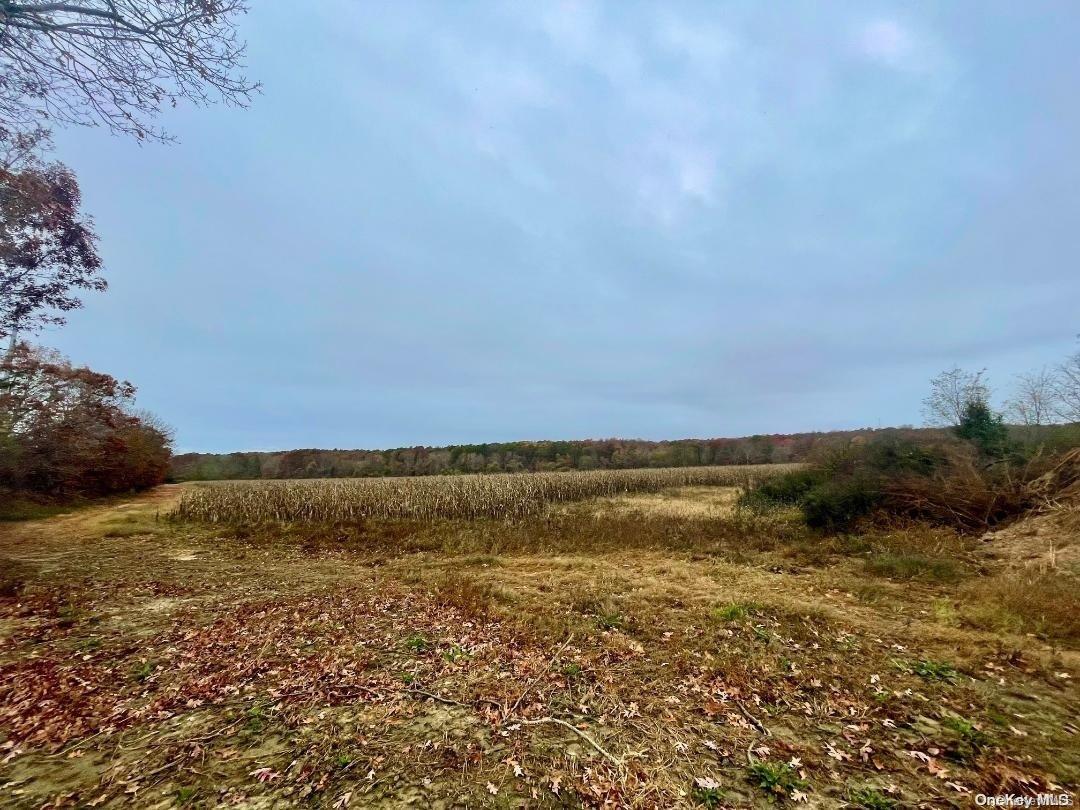 Moriches Riverhd Road Property Photo