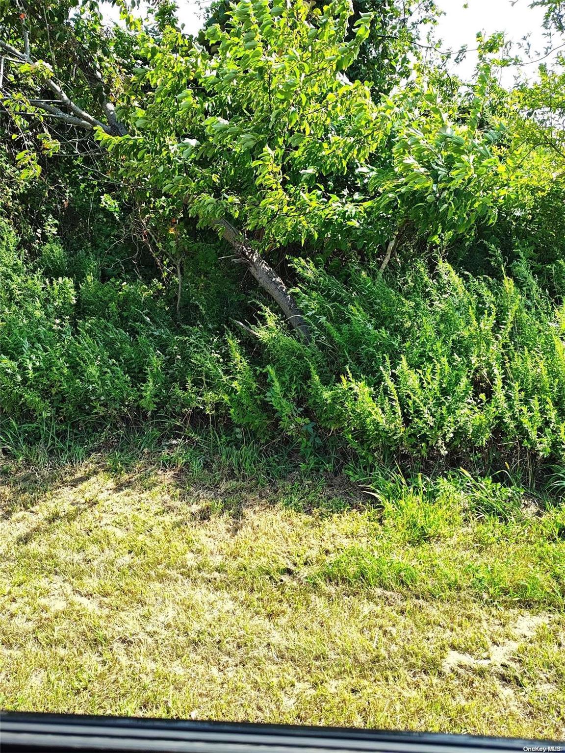 Grandview Drive Property Photo 6