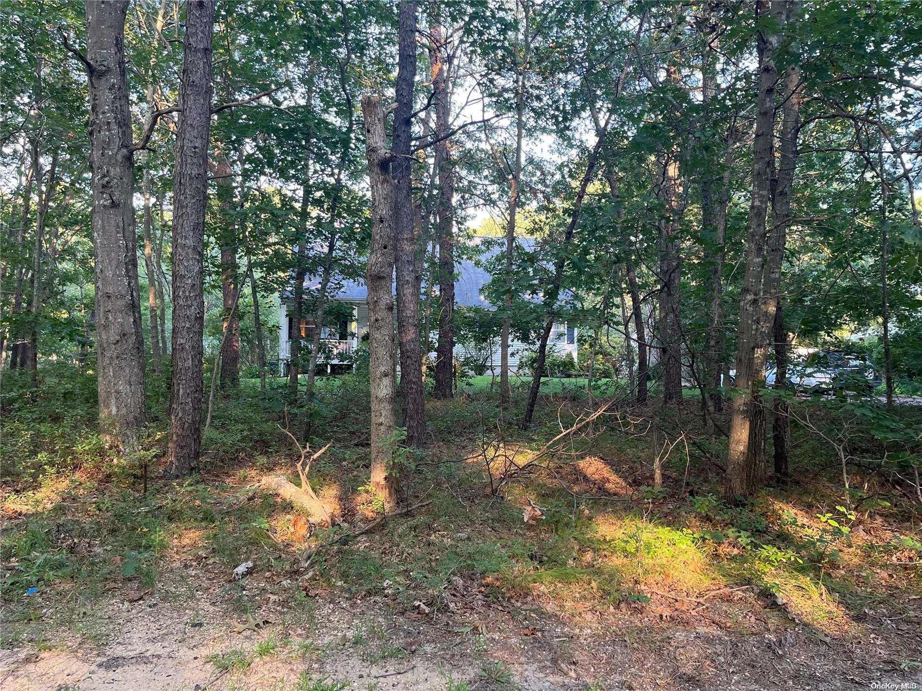 211 Halsey Manor Road Property Photo 10