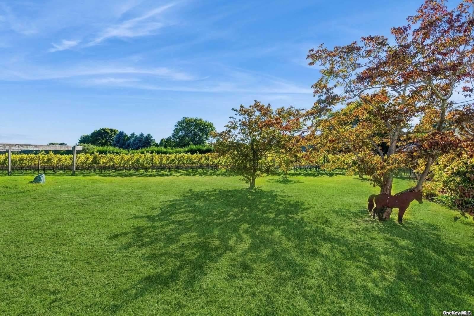 36020 Main Road Property Photo 30