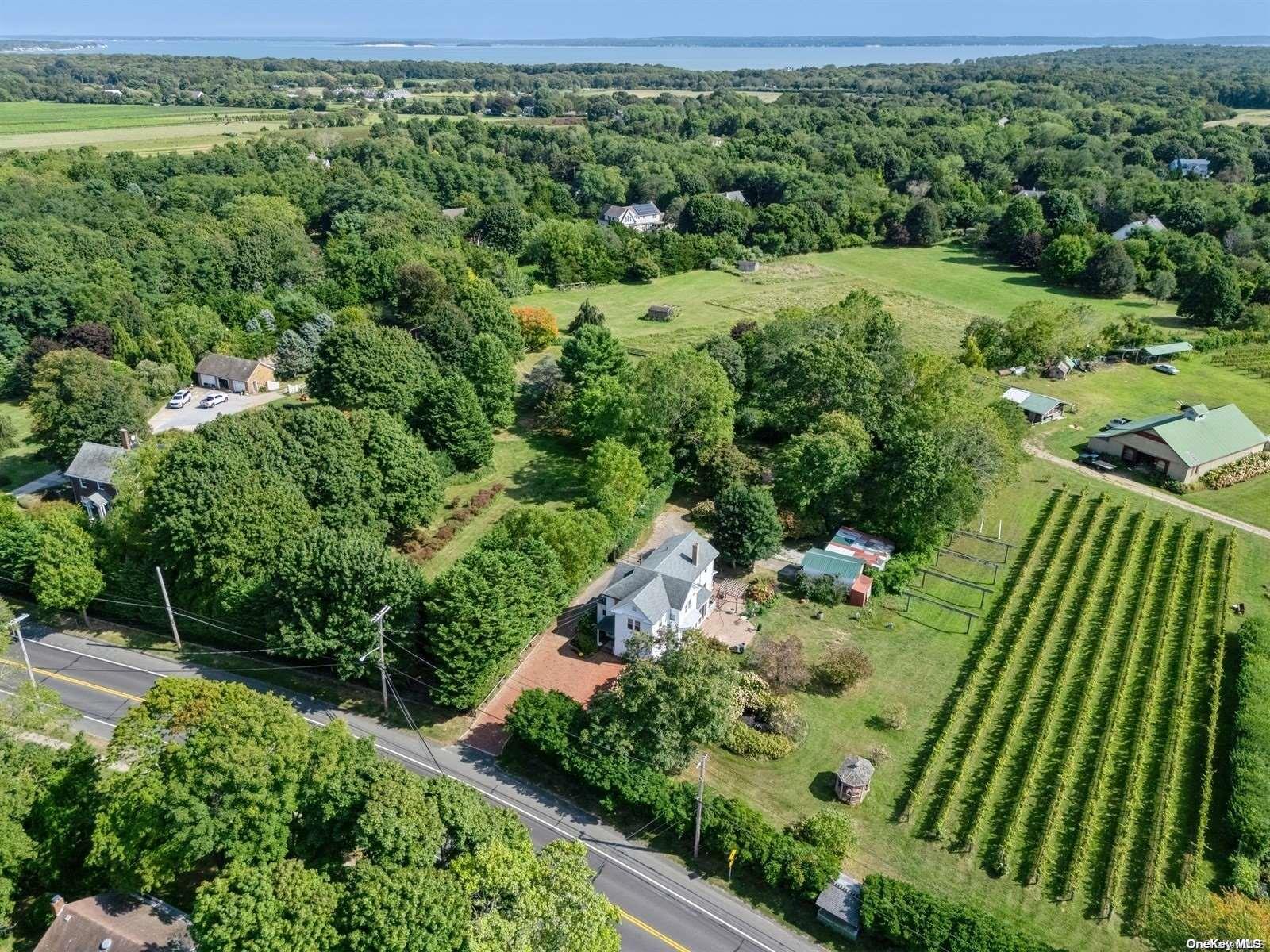 36020 Main Road Property Photo 31
