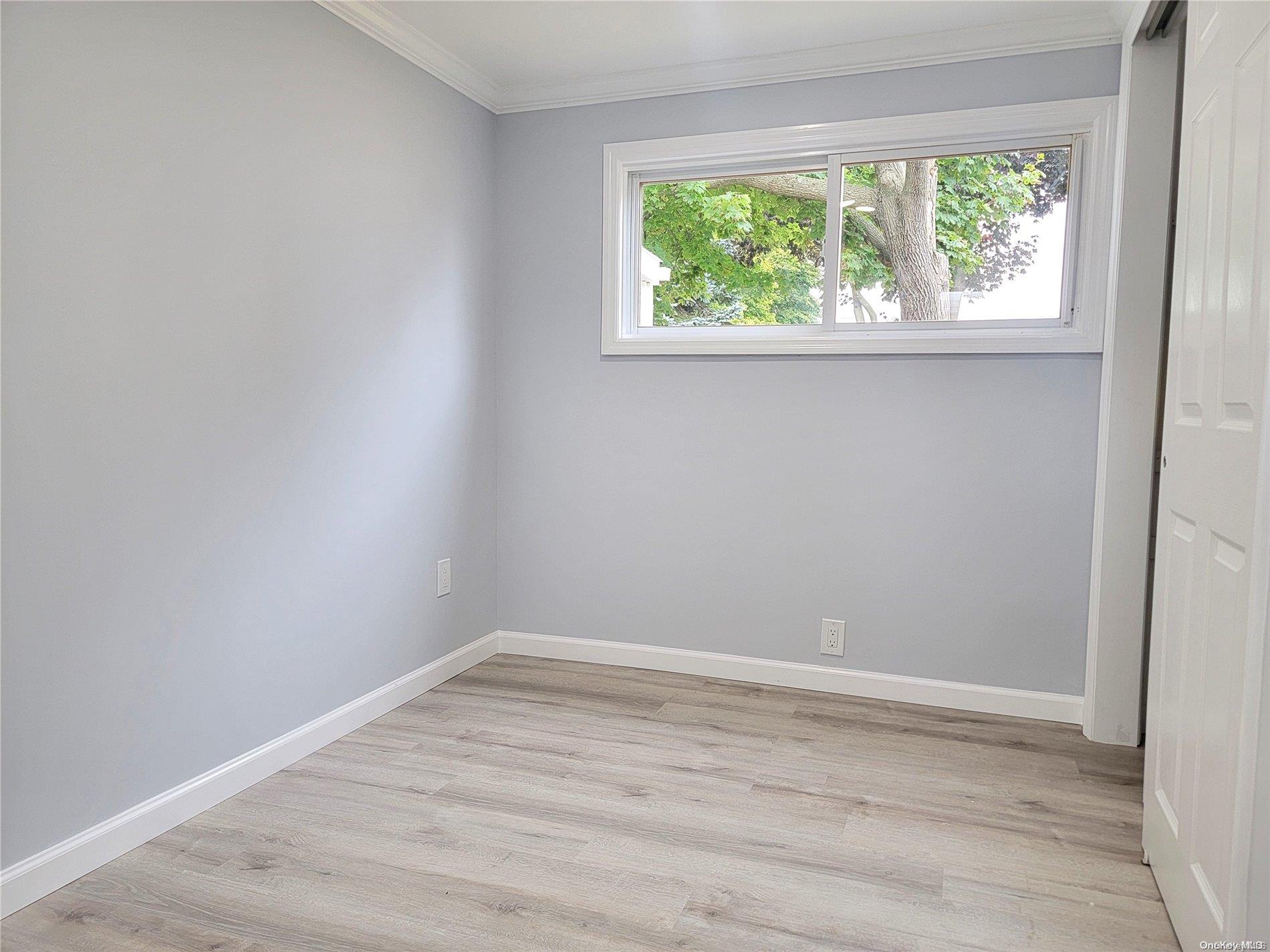 49 Buttercup Drive Property Photo 13