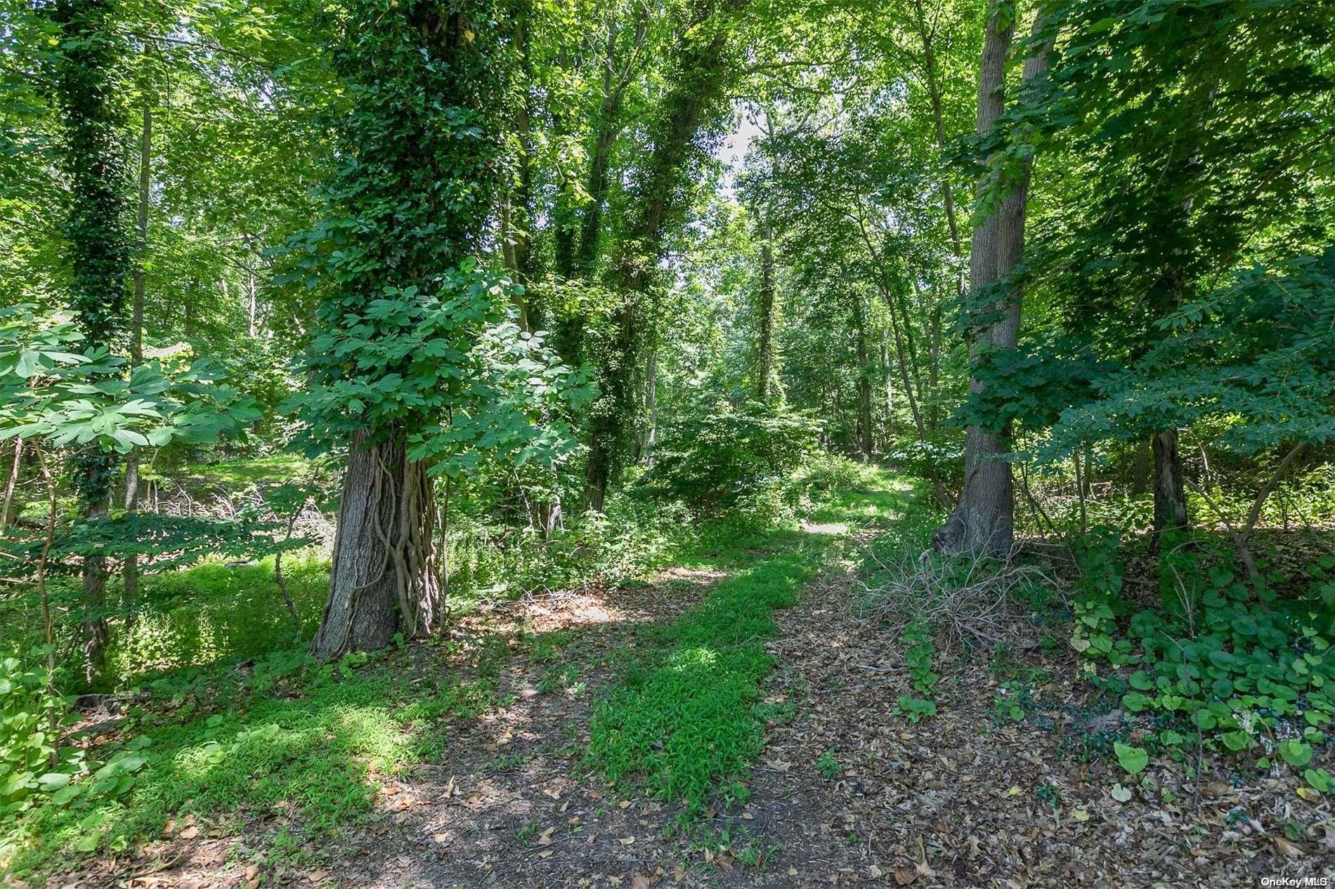 5 Hawks Nest Property Photo 3