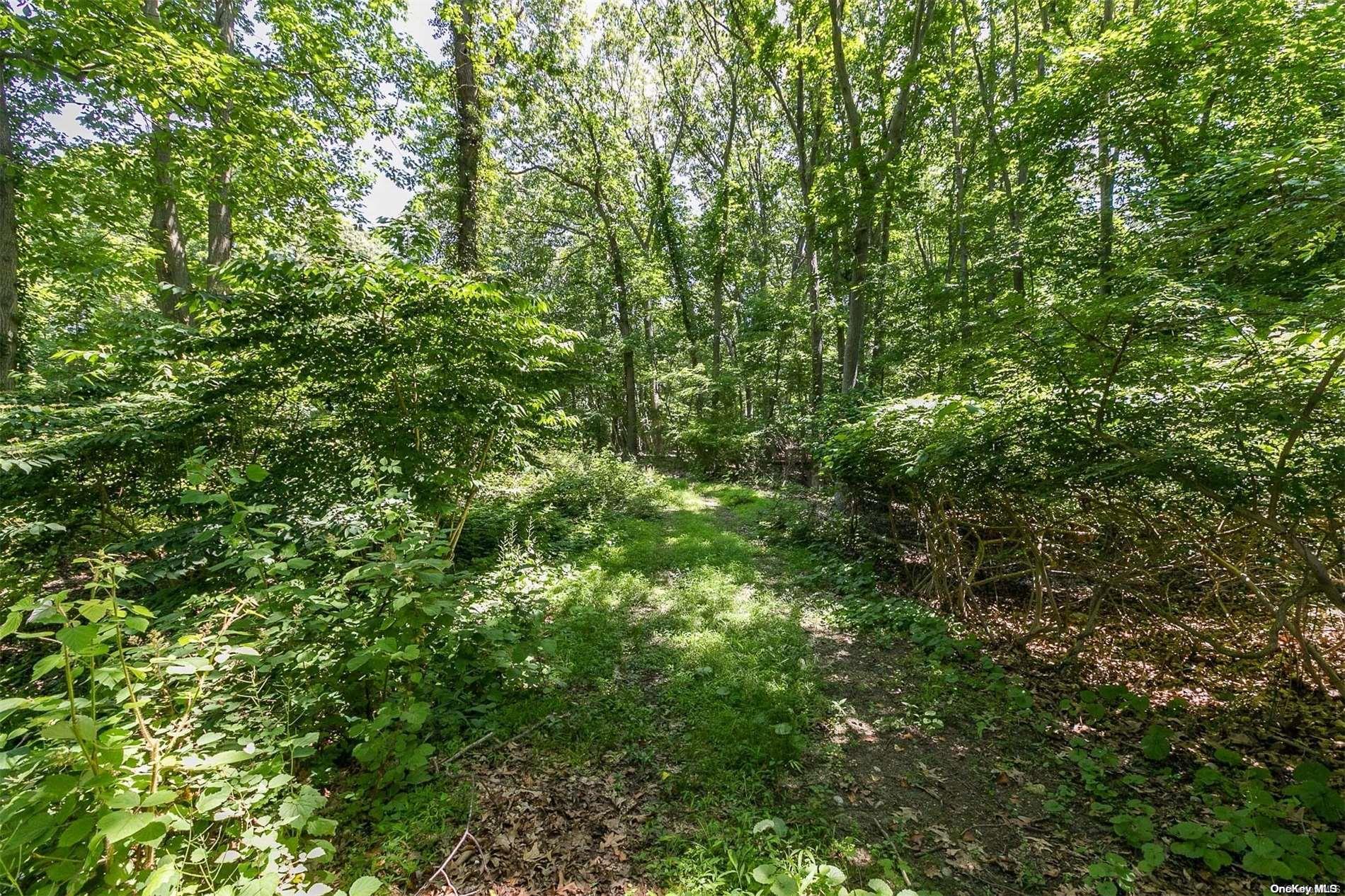 5 Hawks Nest Property Photo 4