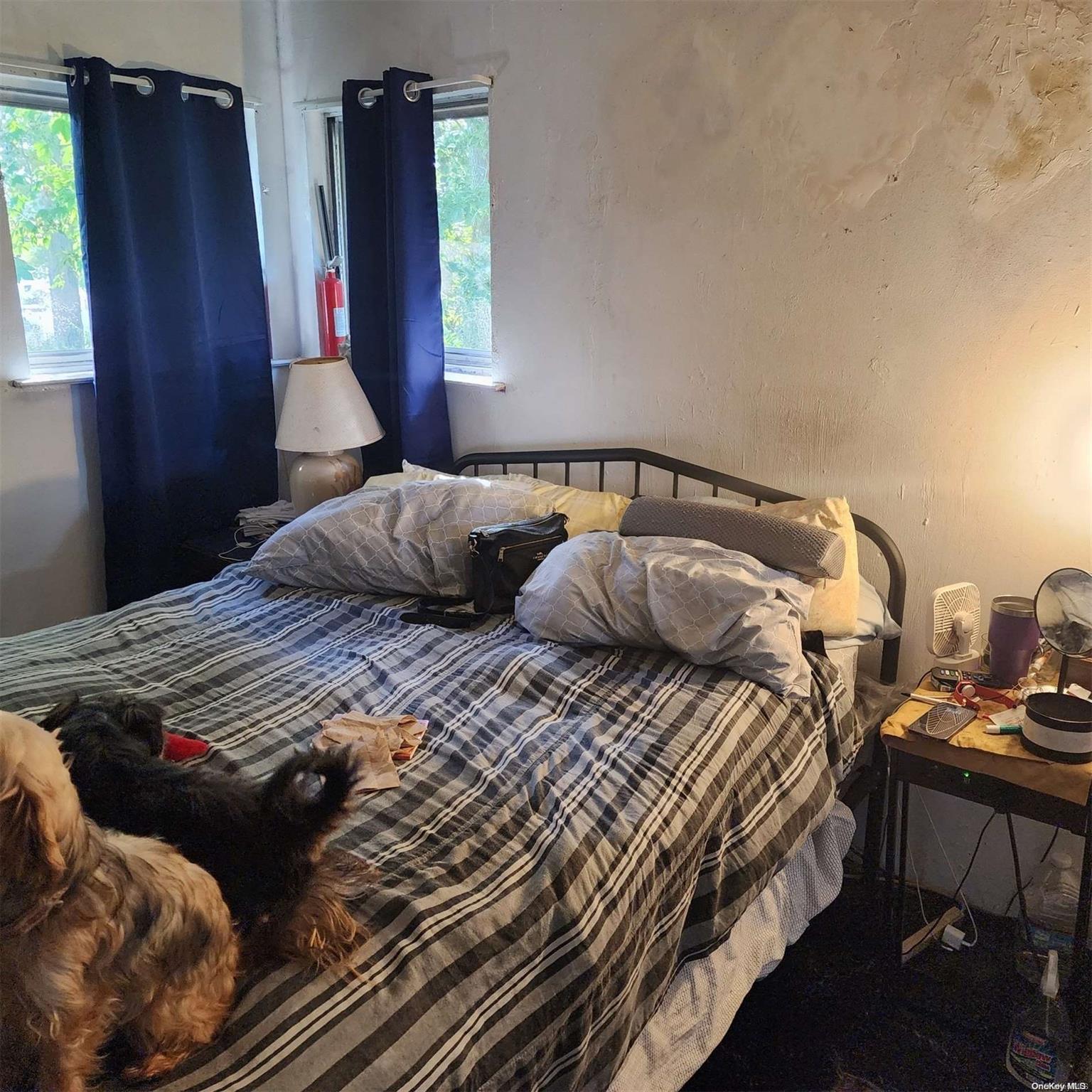 104 Frederick Avenue Property Photo 7