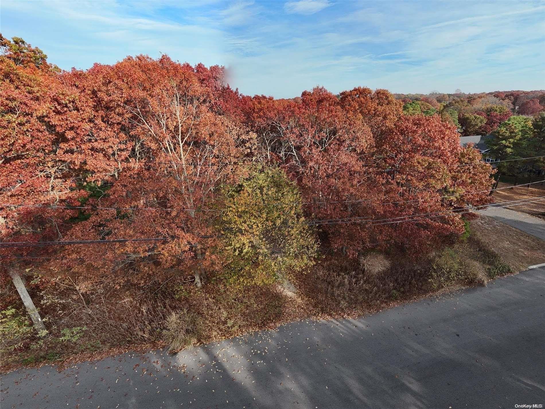 V/l Elmhurst Avenue Property Photo 2