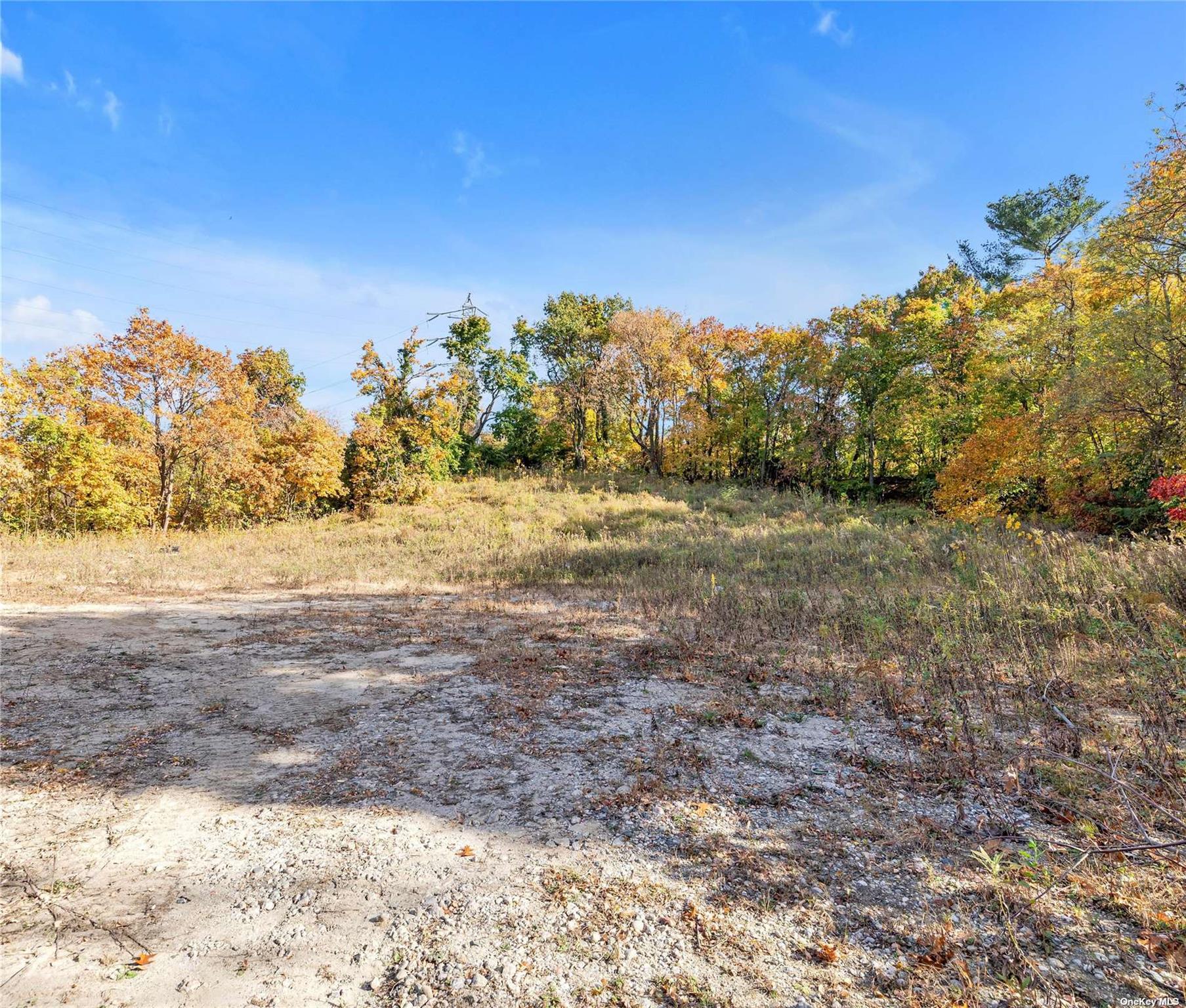 Shore Road Property Photo 4
