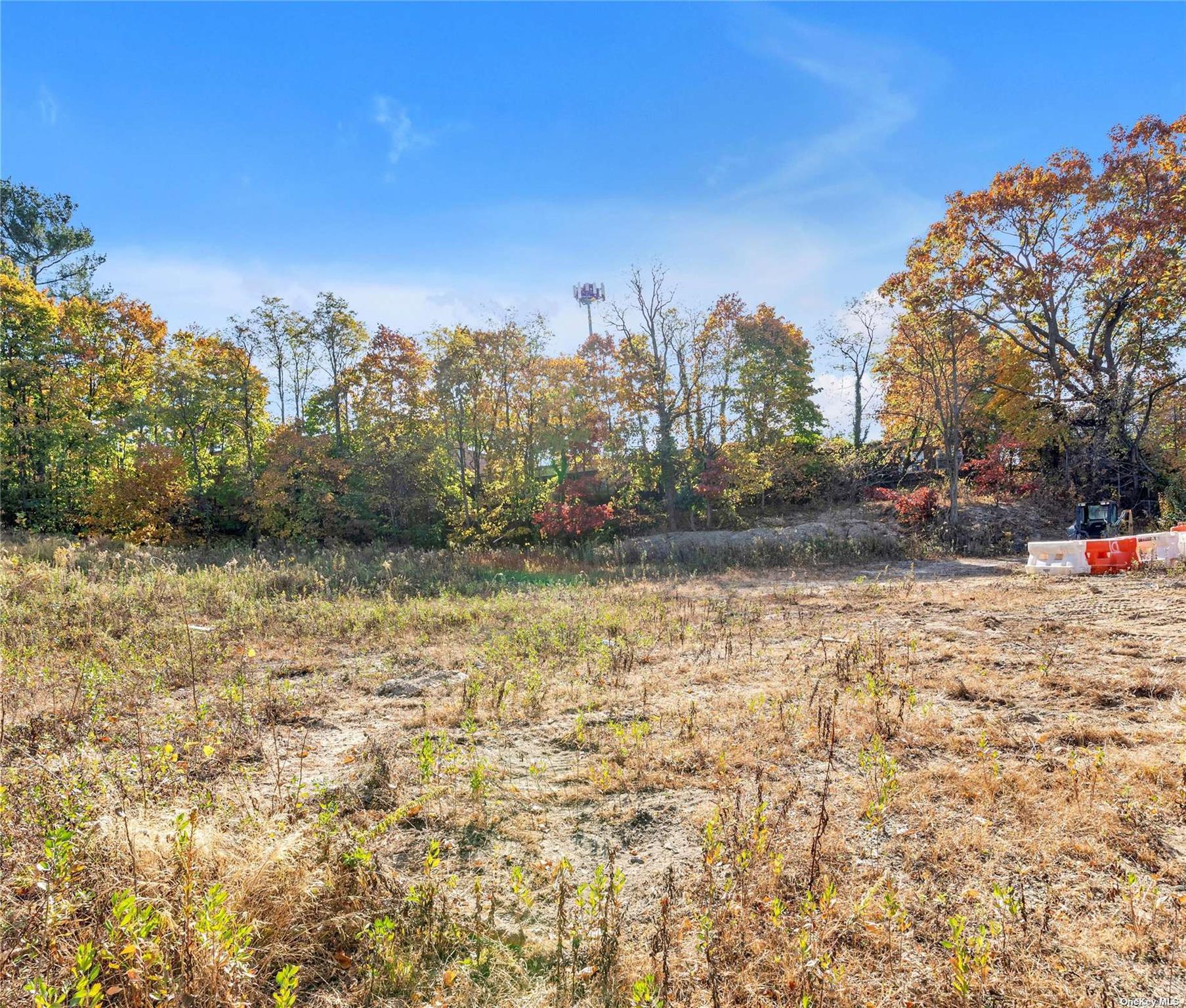 Shore Road Property Photo 6