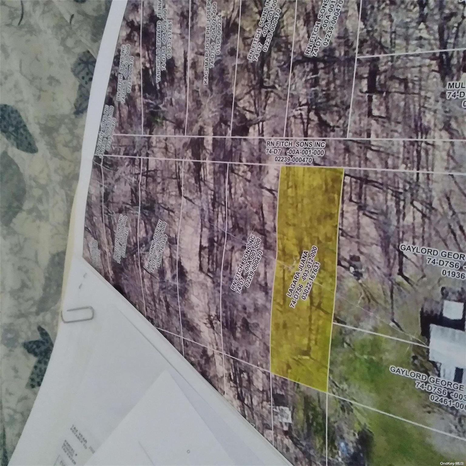 Rear Carpenter Property Photo