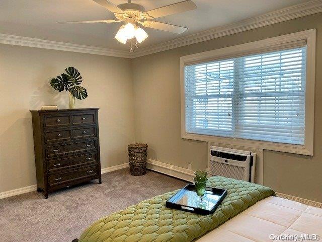 514 Terrace Road T13514 Property Photo 8