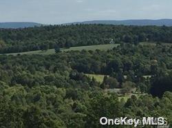Undefined Property Photo