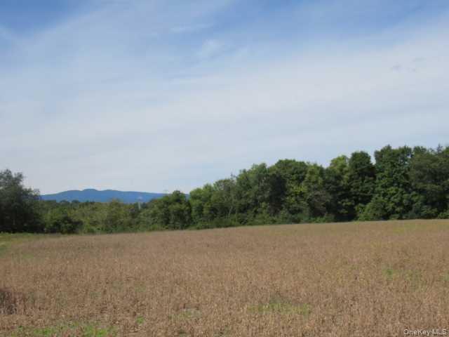 County Road 19 Property Photo 3