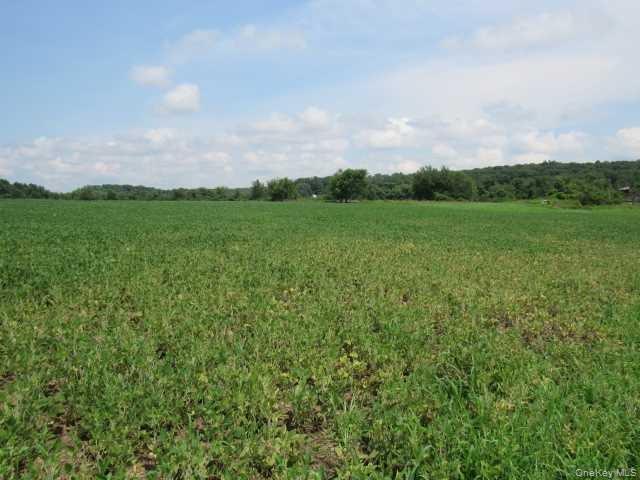 County Road 19 Property Photo 10