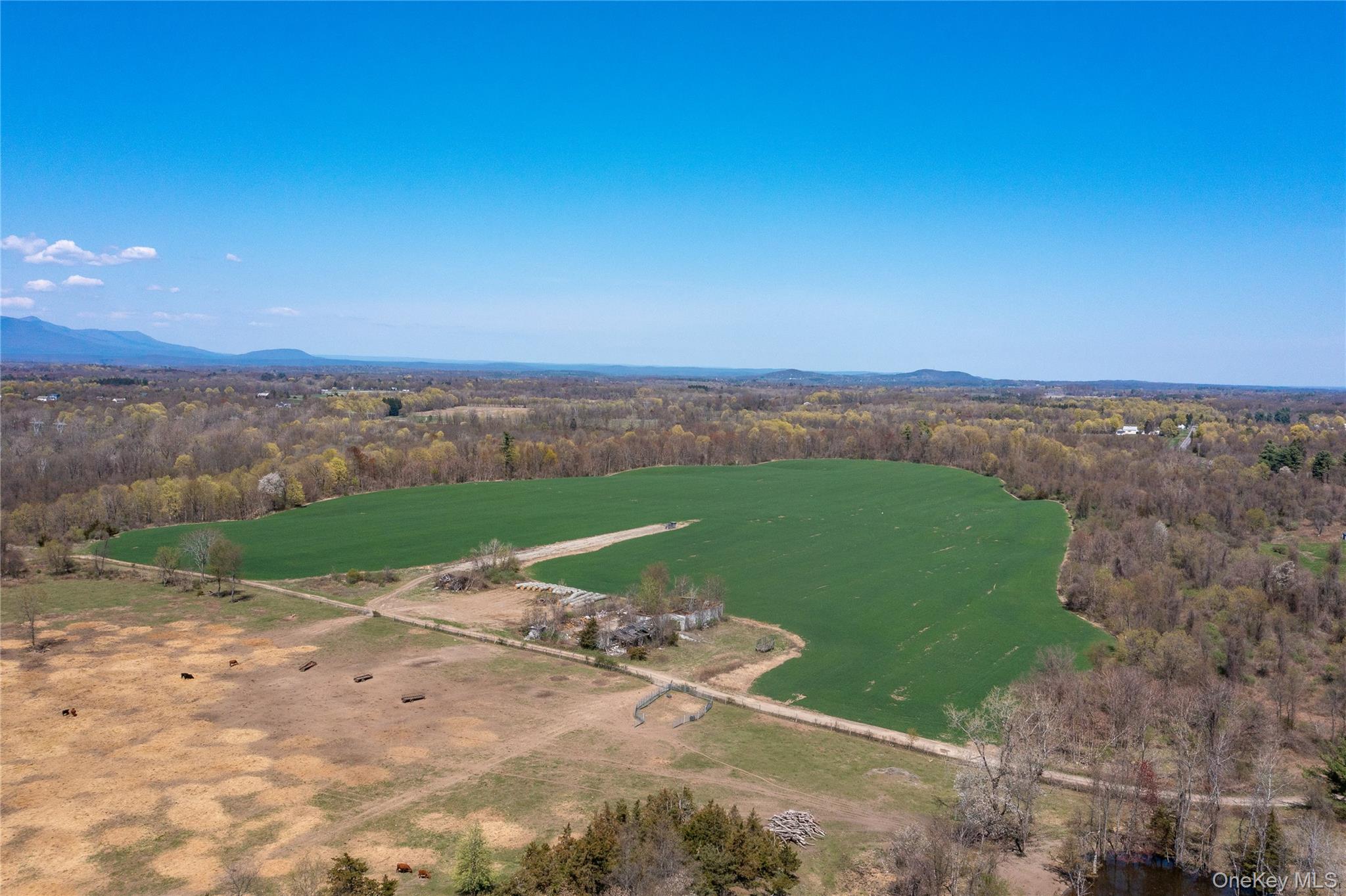 County Road 19 Property Photo 17