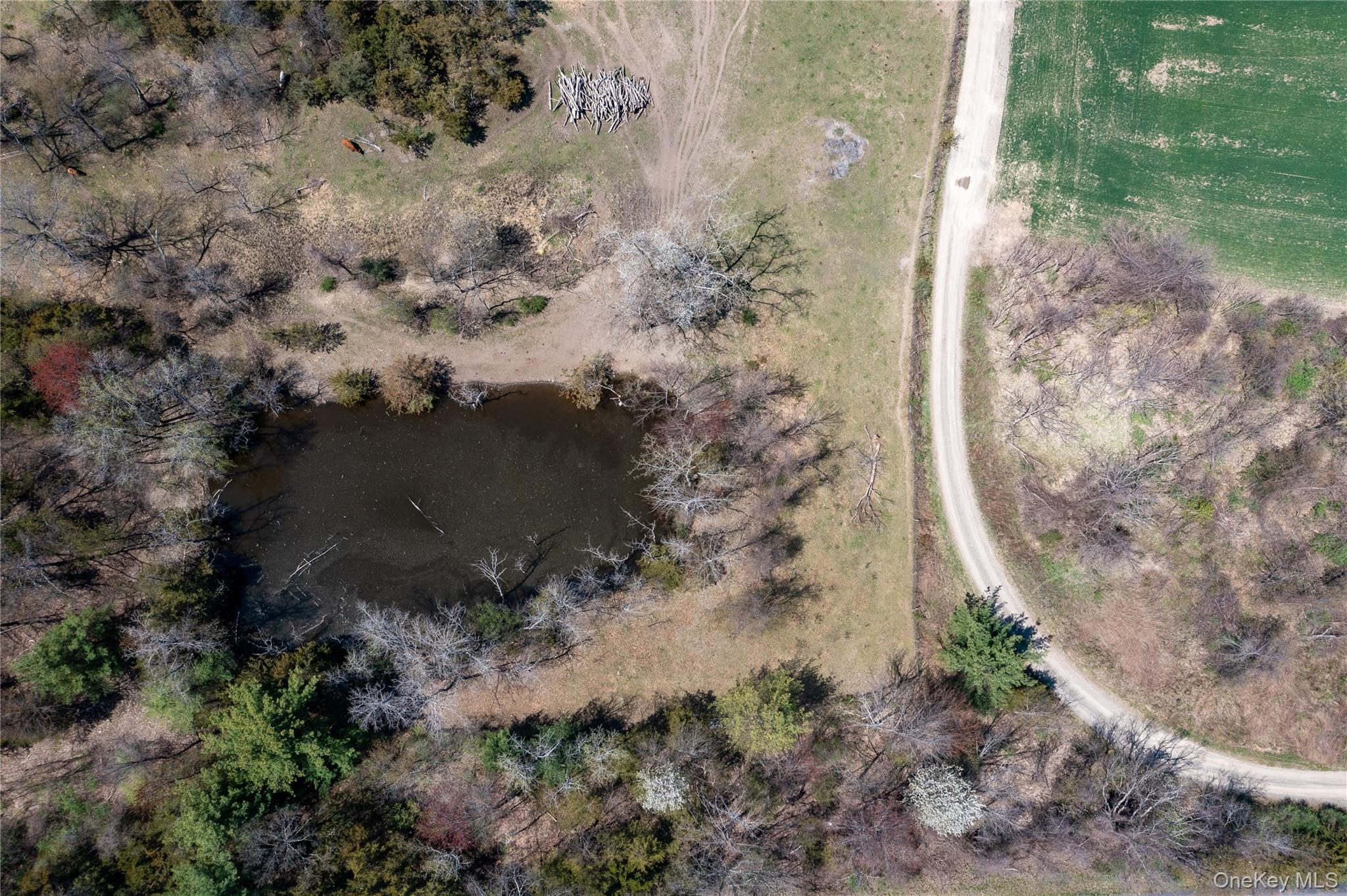 County Road 19 Property Photo 18
