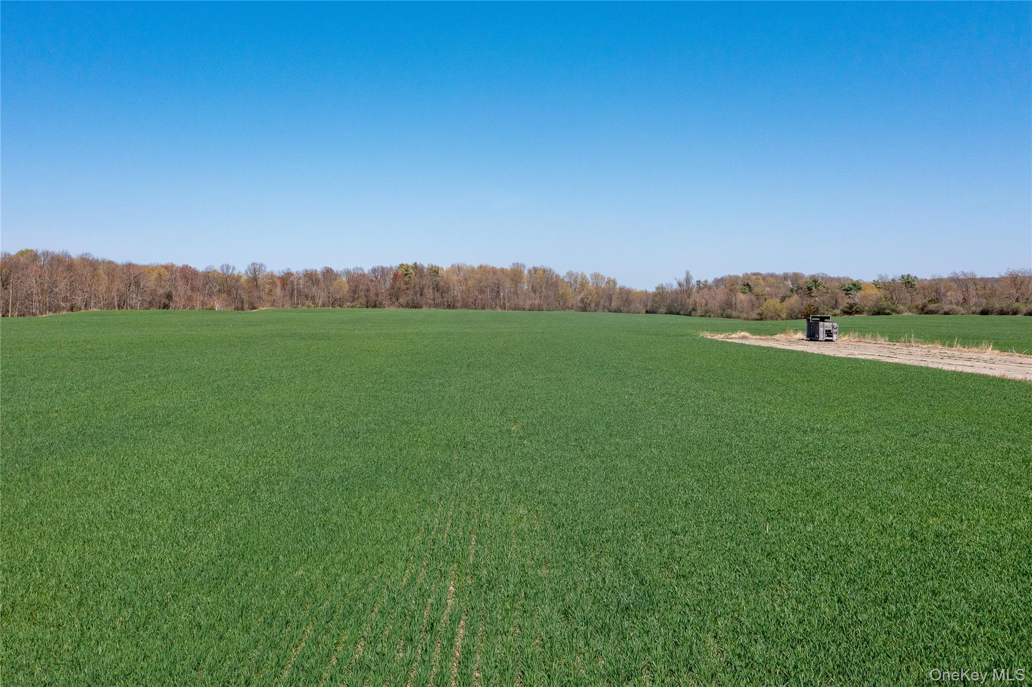 County Road 19 Property Photo 19
