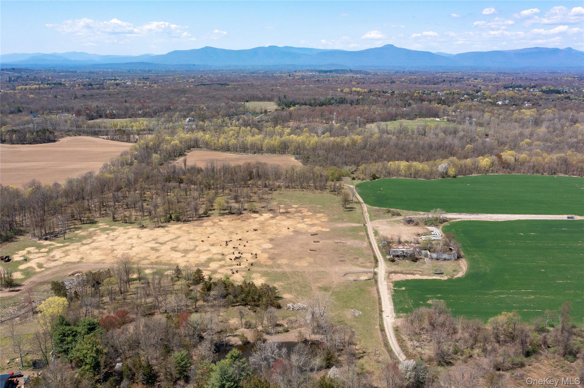 County Road 19 Property Photo 24