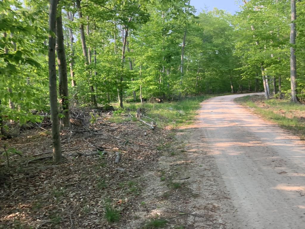Tbd Hagen Dr Property Photo 1