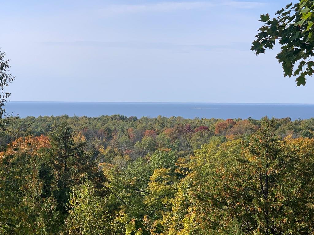Lot 21 Daisy Patch Rd Property Photo 1