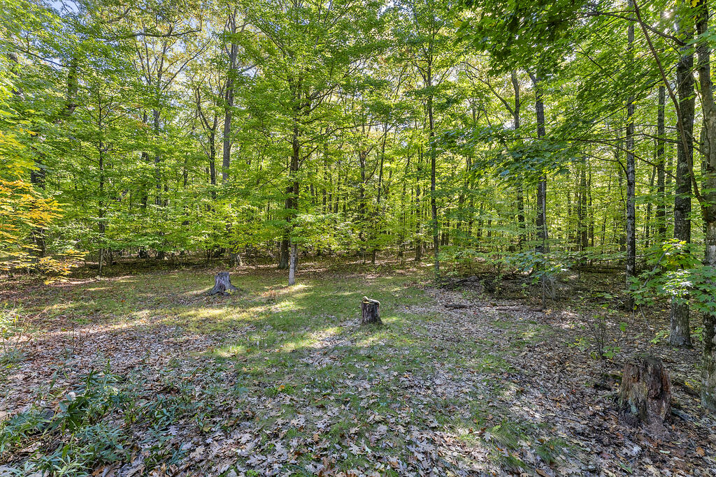 5922 Bluff Ledge Rd Property Photo 57