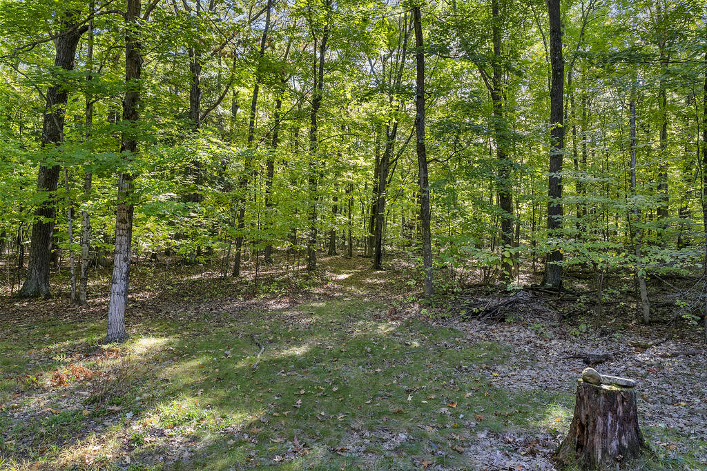 5922 Bluff Ledge Rd Property Photo 58