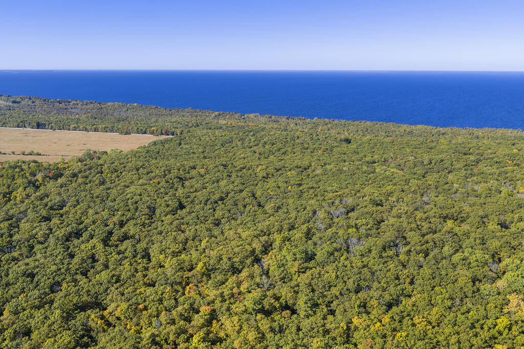 5922 Bluff Ledge Rd Property Photo 68