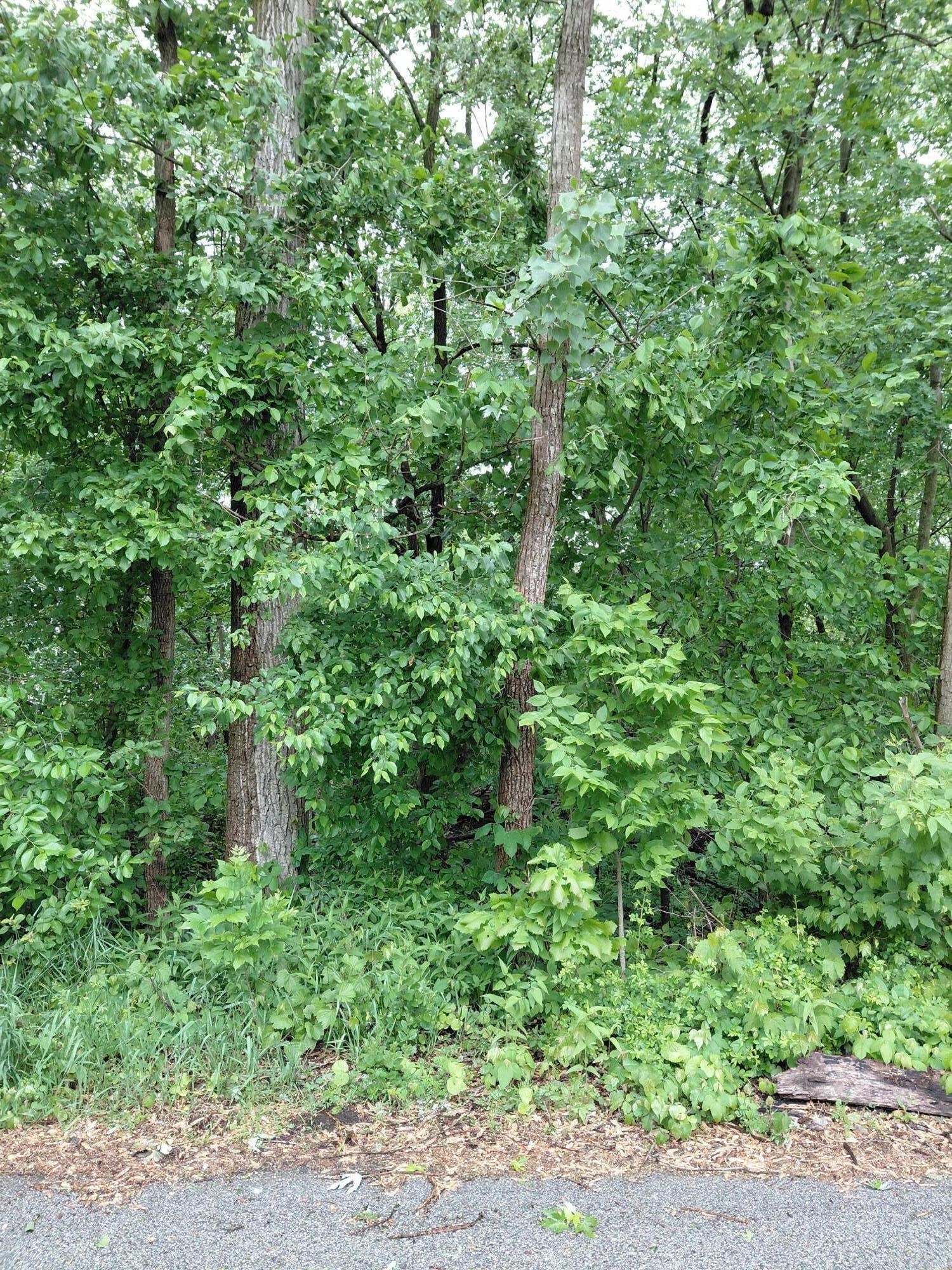 5455 Connecticut Street Property Photo 1