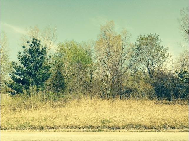 0 Springland Avenue Property Photo 1