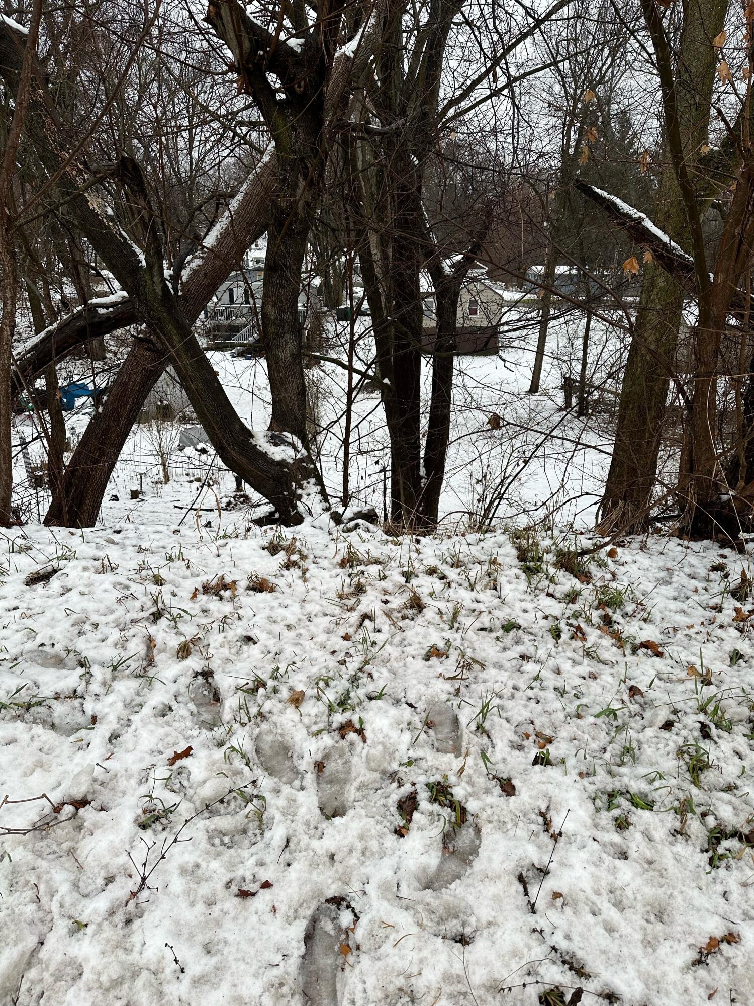0 1st Street Property Photo 1