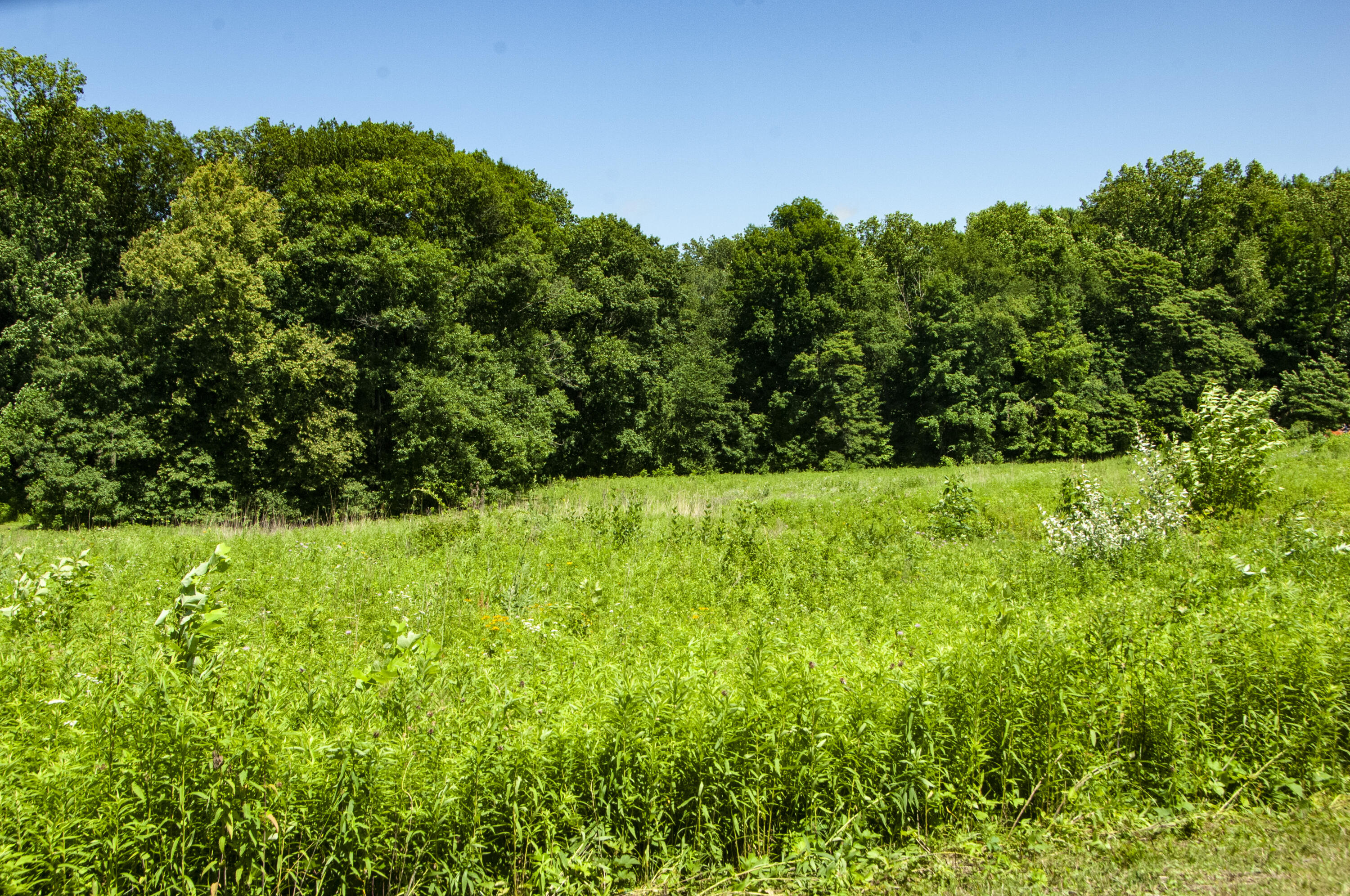 6864 N Nature Lane Property Photo 1