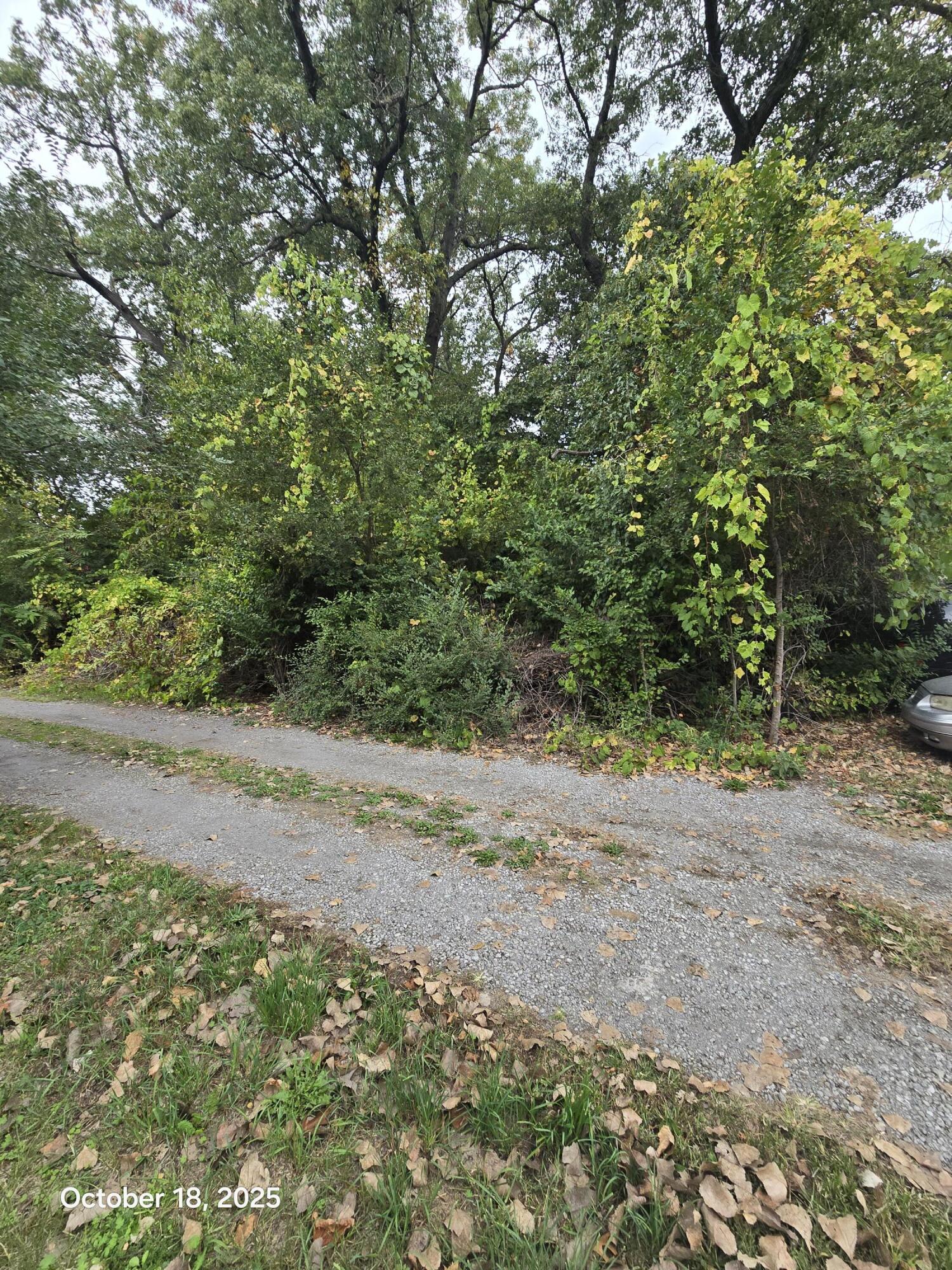 968 Baker Street Property Photo 1