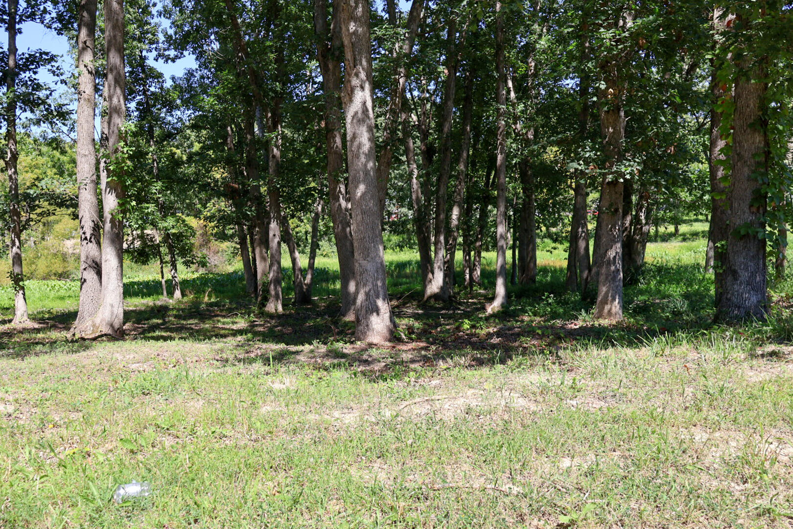 735 Druim Trail Property Photo 1
