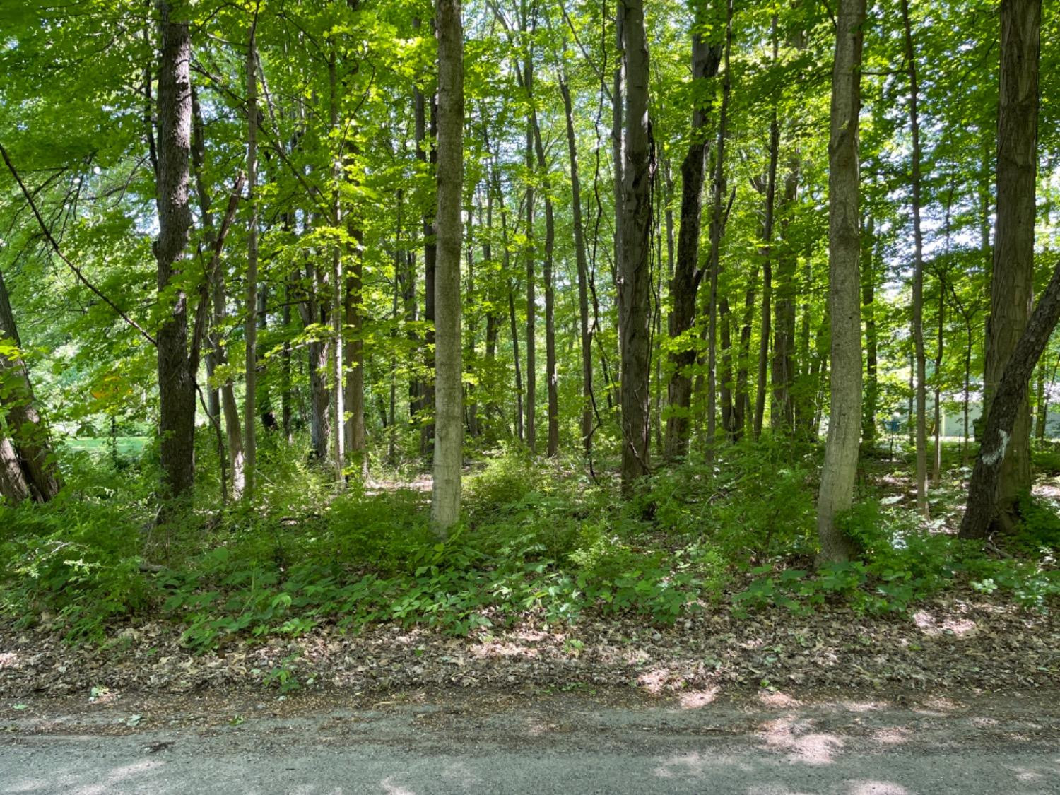 0 Balsam Lane Property Photo 1