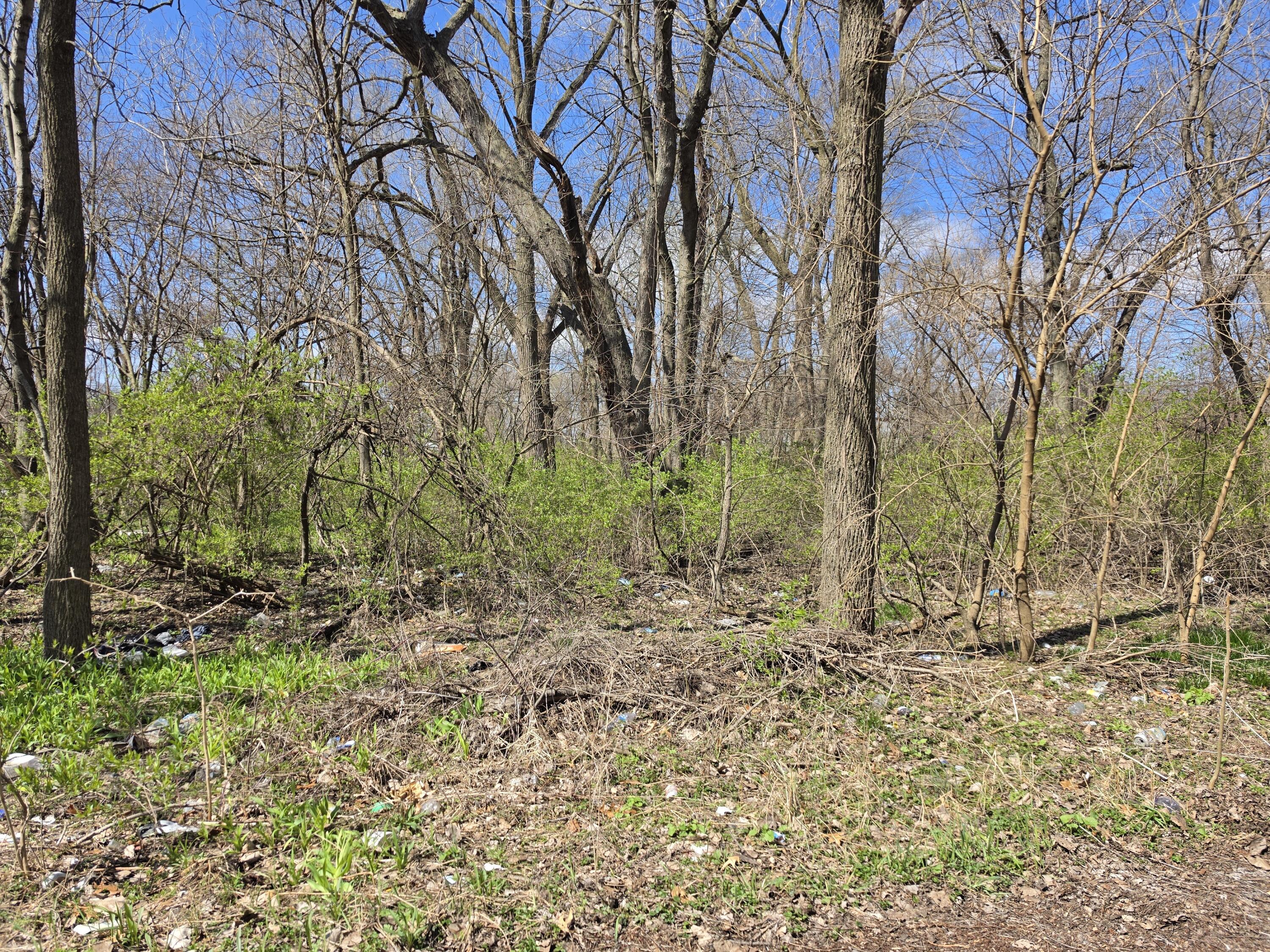 1124 Mount Street Property Photo 1