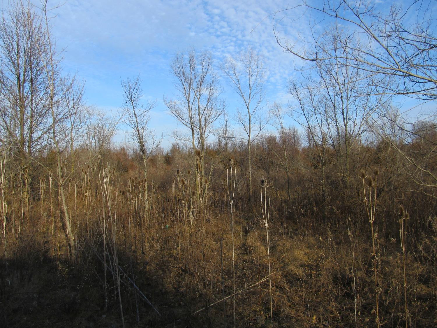 0-lot 9 Grant Street Property Photo 1