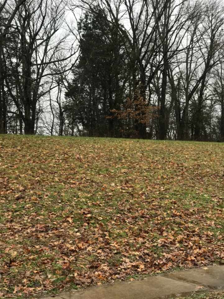 943 Cumberland Ridge Way Property Photo 1