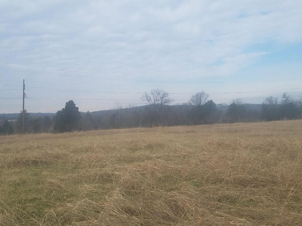 212 New Bond Way Property Photo 9