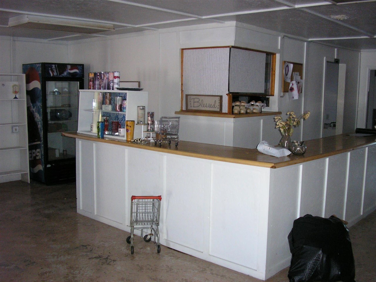11242 S Highway 431 Property Photo 4