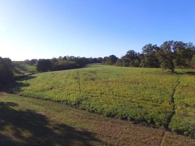 800 Mt Carmel Church Road Property Photo 4