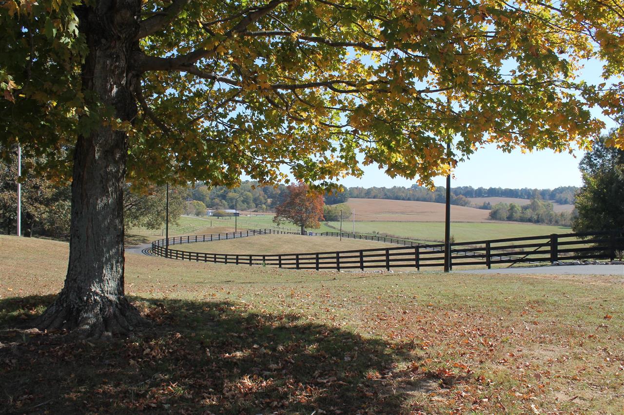 3464 Anna Sandhill Road Property Photo 49