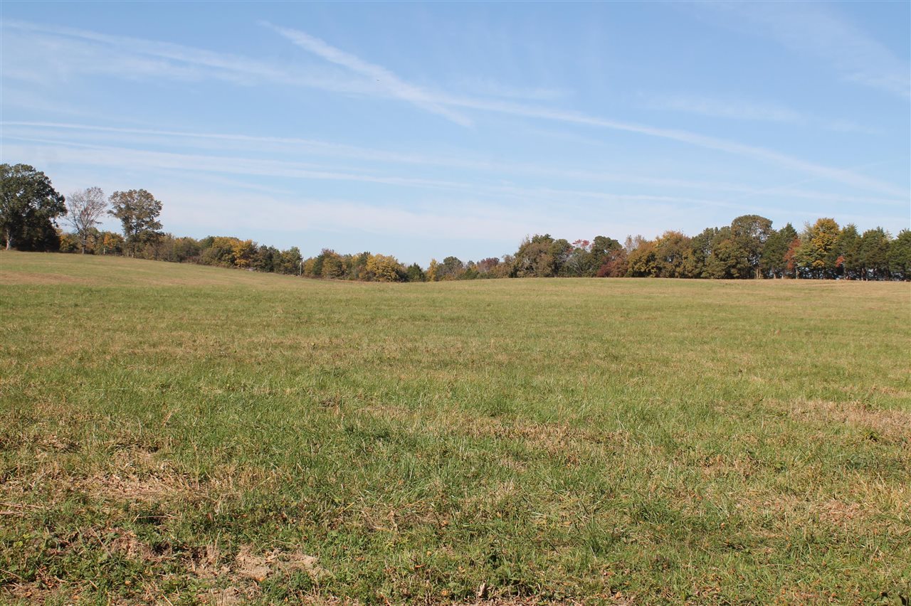 3464 Anna Sandhill Road Property Photo 55