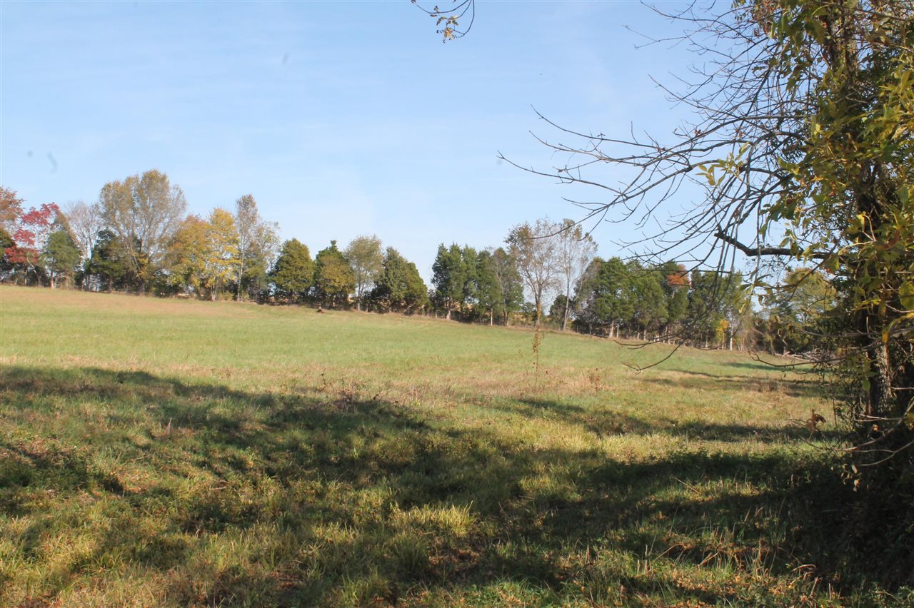 3464 Anna Sandhill Road Property Photo 56