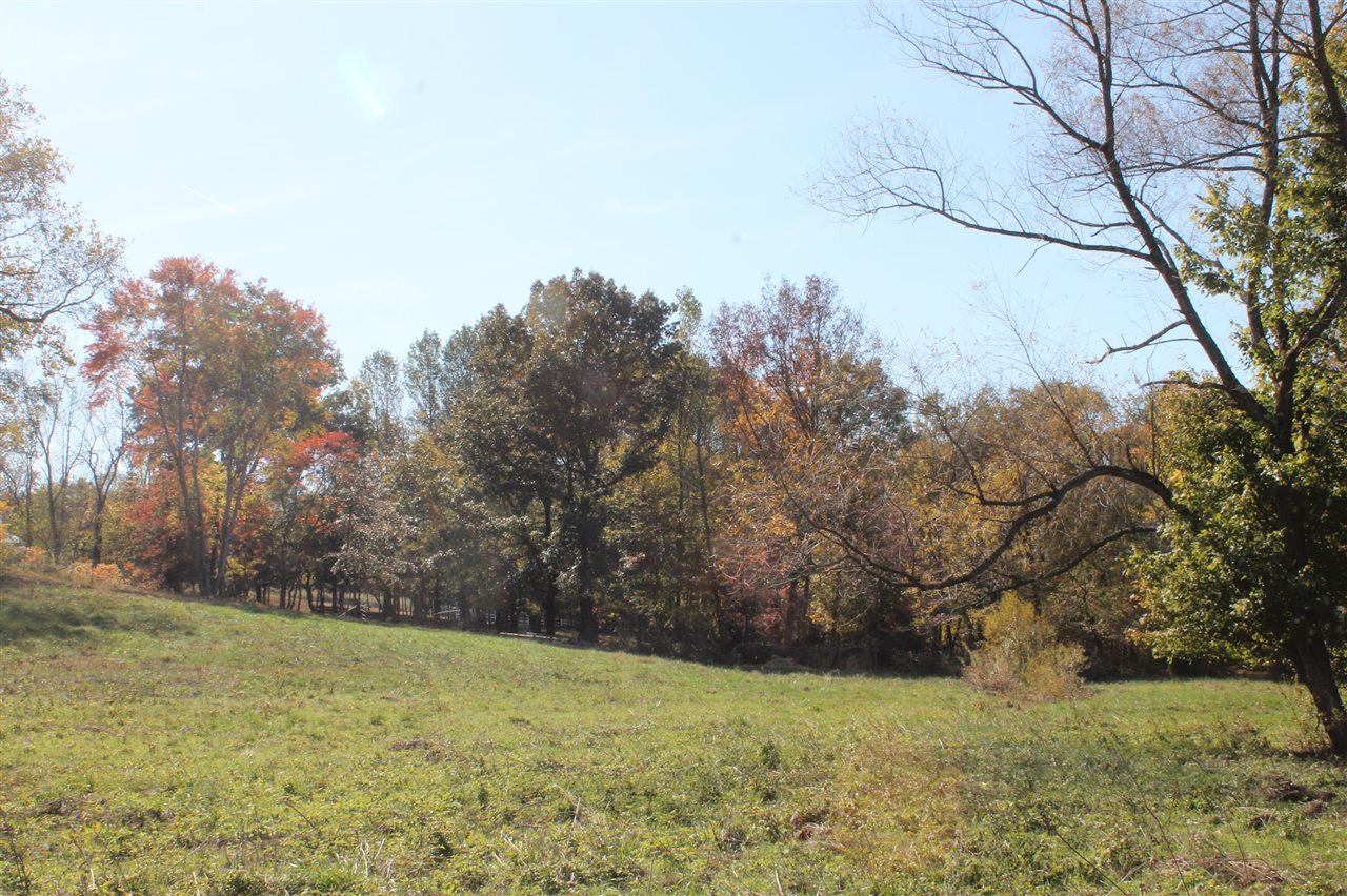 3464 Anna Sandhill Road Property Photo 57