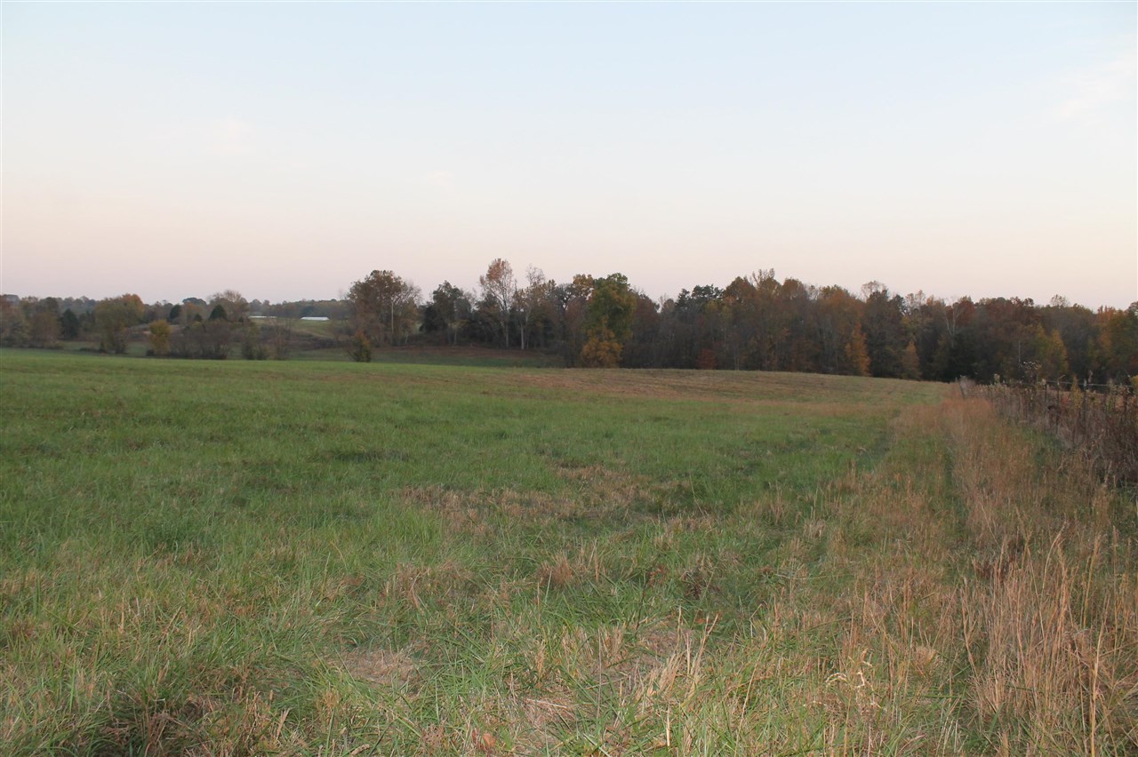 3464 Anna Sandhill Road Property Photo 59