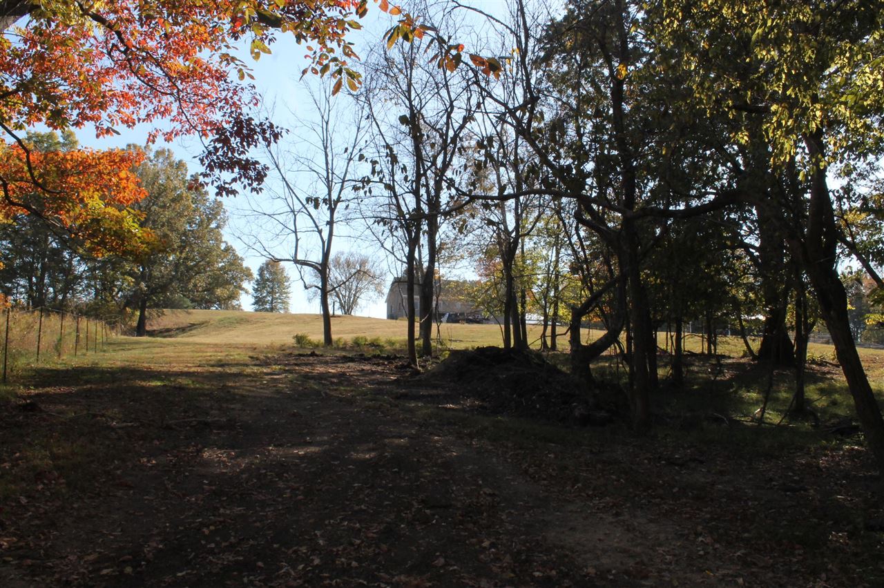 3464 Anna Sandhill Road Property Photo 61