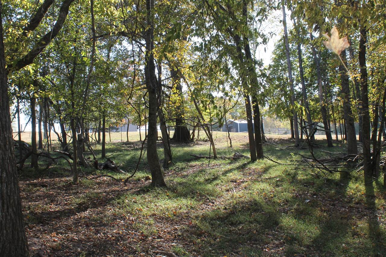 3464 Anna Sandhill Road Property Photo 62