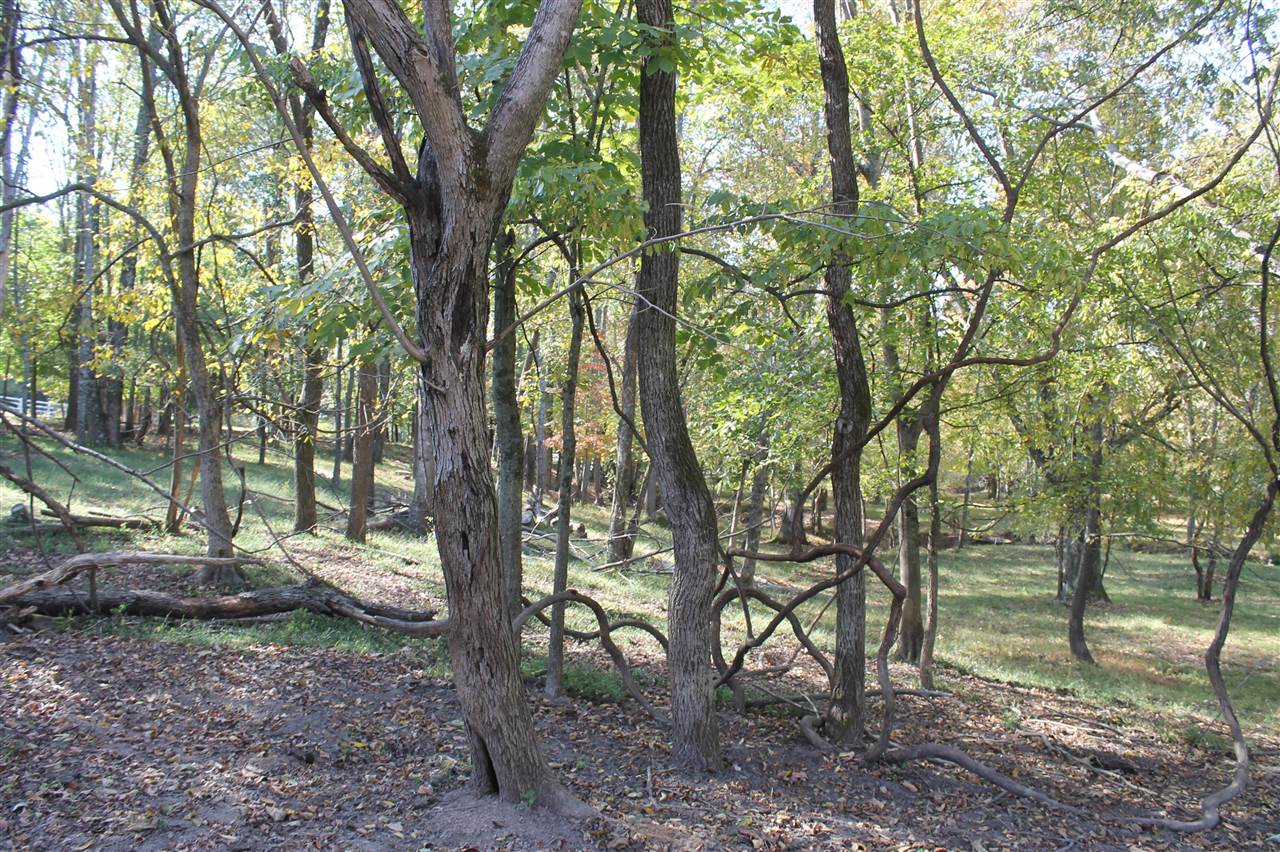 3464 Anna Sandhill Road Property Photo 63