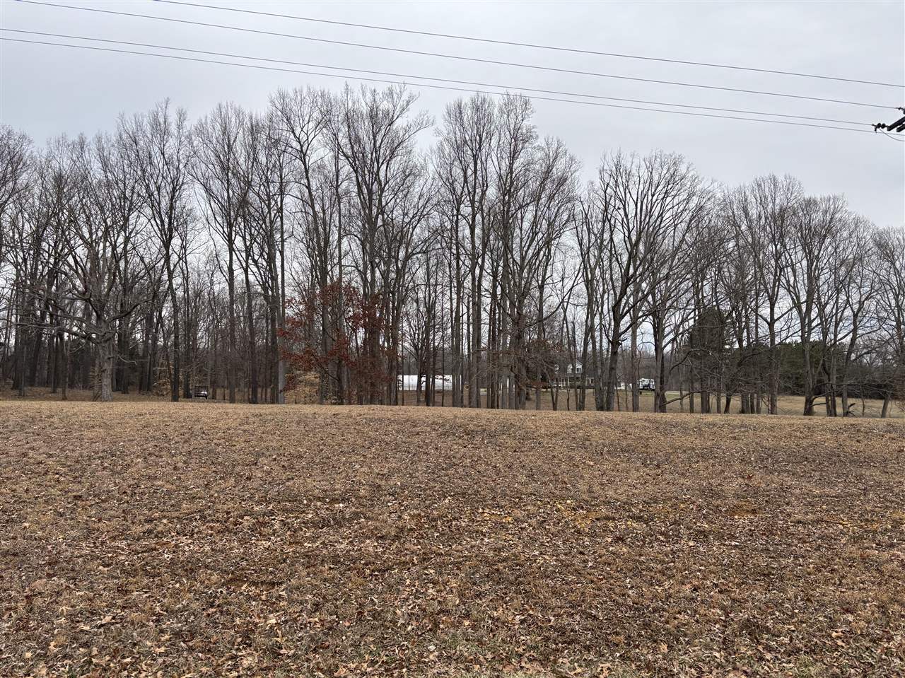5300 Bowling Green Road Property Photo 1