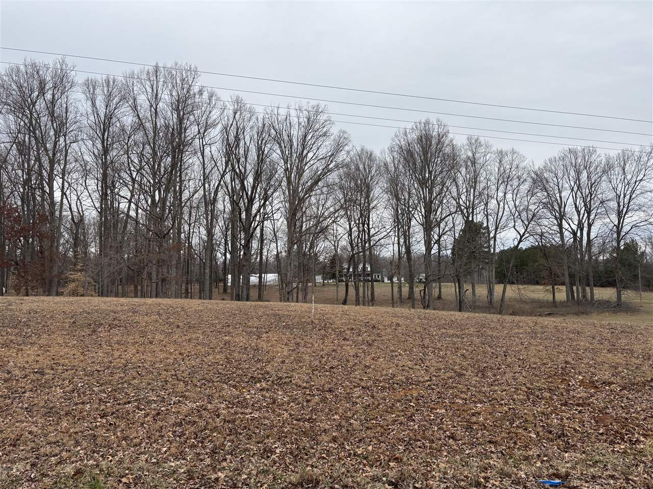 5298 Bowling Green Road Property Photo 1