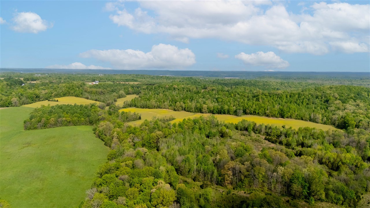 5384 Richardsville Road Property Photo 4